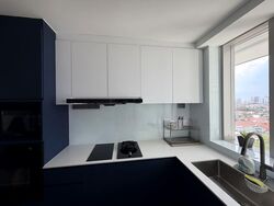 The Trumps (D14), Condominium #599799031